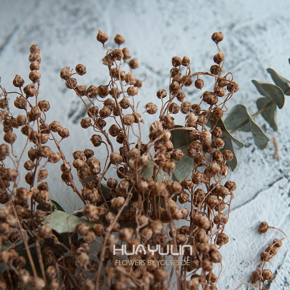 Flower Preservation Resin - Real Flowers MiNi Bean Preserved Flower