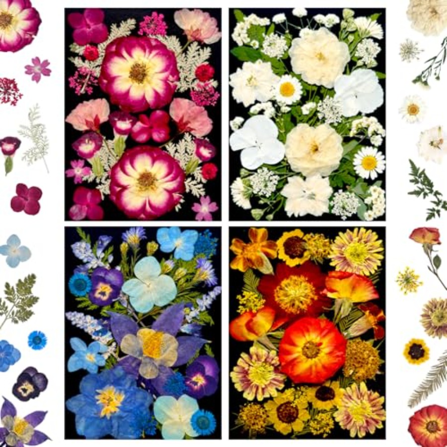 Pressed Dried Flowers for Resi – Dried Flower Bulk recenzja i cena