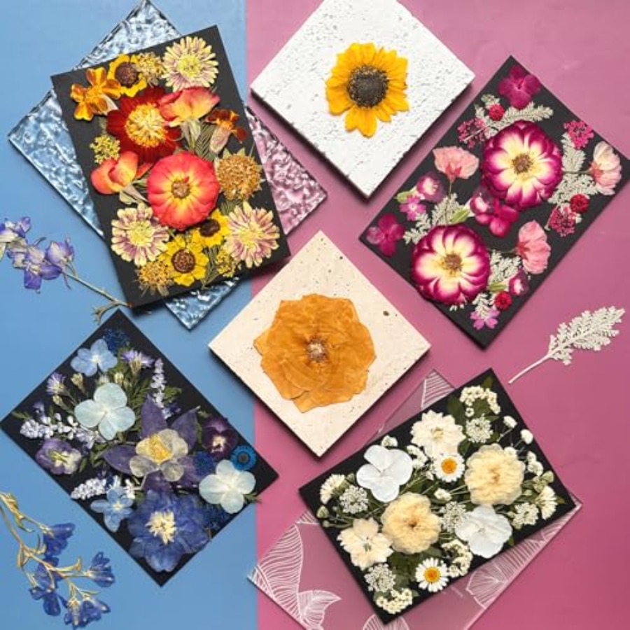 Pressed Dried Flowers for Resi – Dried Flower Bulk recenzja i cena
