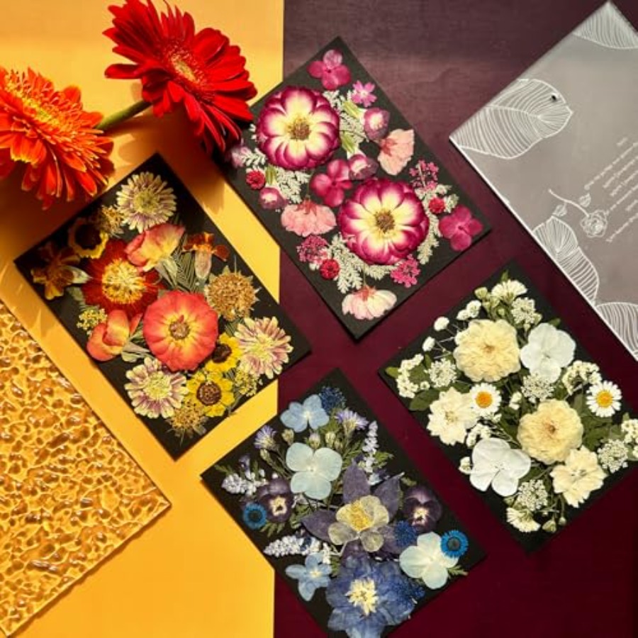 Pressed Dried Flowers for Resi – Dried Flower Bulk recenzja i cena