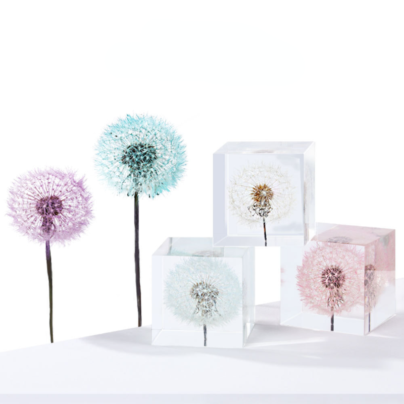 Dandelion preserved fresh flow – Flower Preservation Resin recenzja i cena
