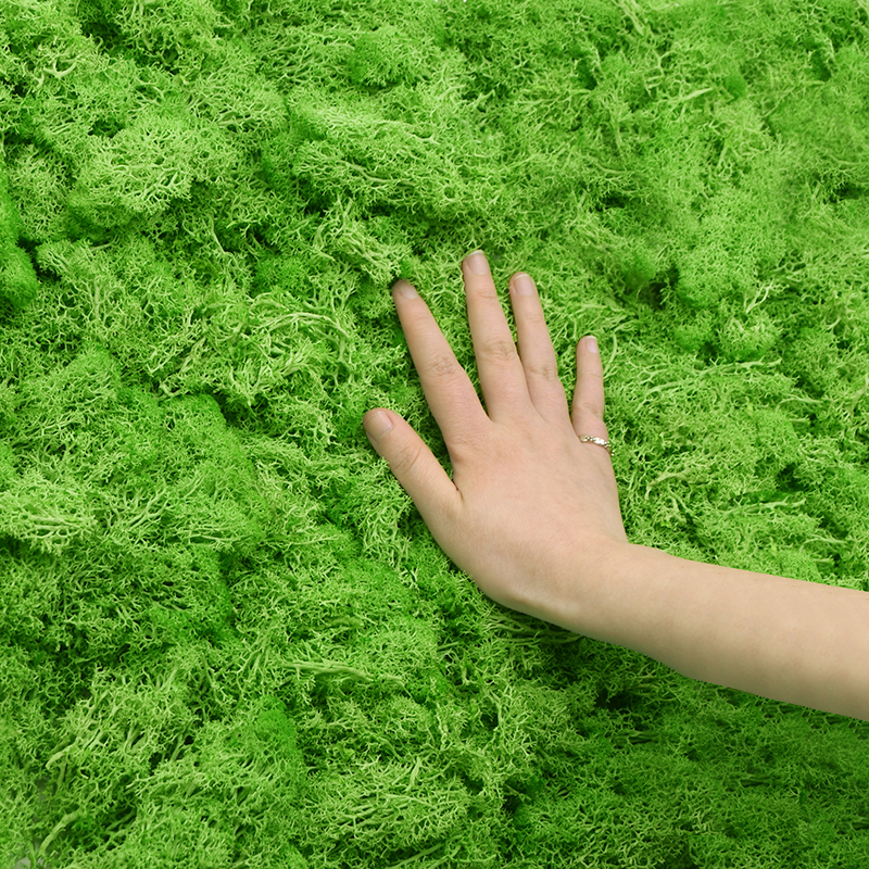 20/40g Artificial Green Plants – Terrarium Moss Art recenzja i cena