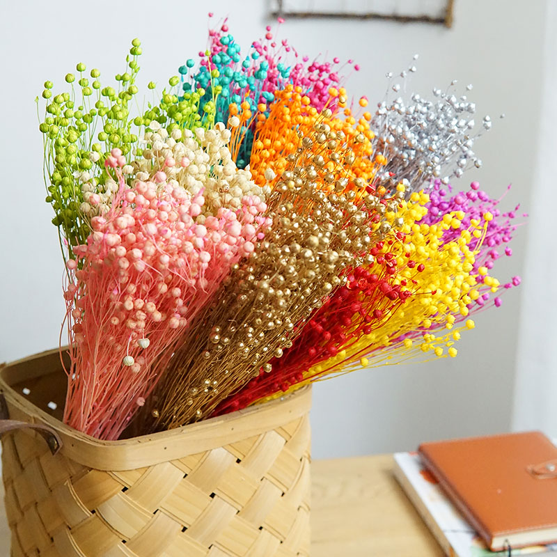 35g/Preserved Ormosia Hosiei N – Dried Flower Bulk recenzja i cena