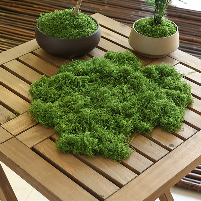 about 20g Artificial Green Pla – Terrarium Moss Art recenzja i cena