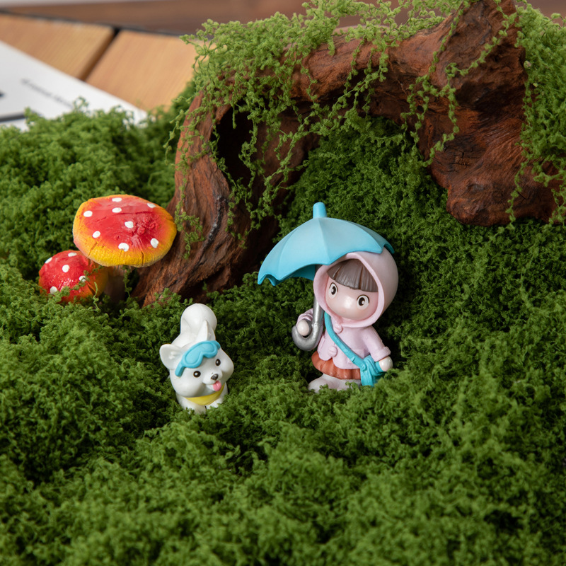 200g Eternal Life Moss DIY Cra – Terrarium Moss Art recenzja i cena