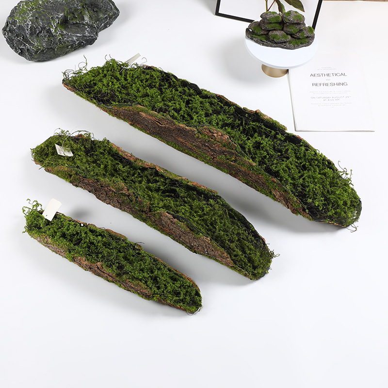 Creative Bark Moss Moss Artifi – Terrarium Moss Art recenzja i cena