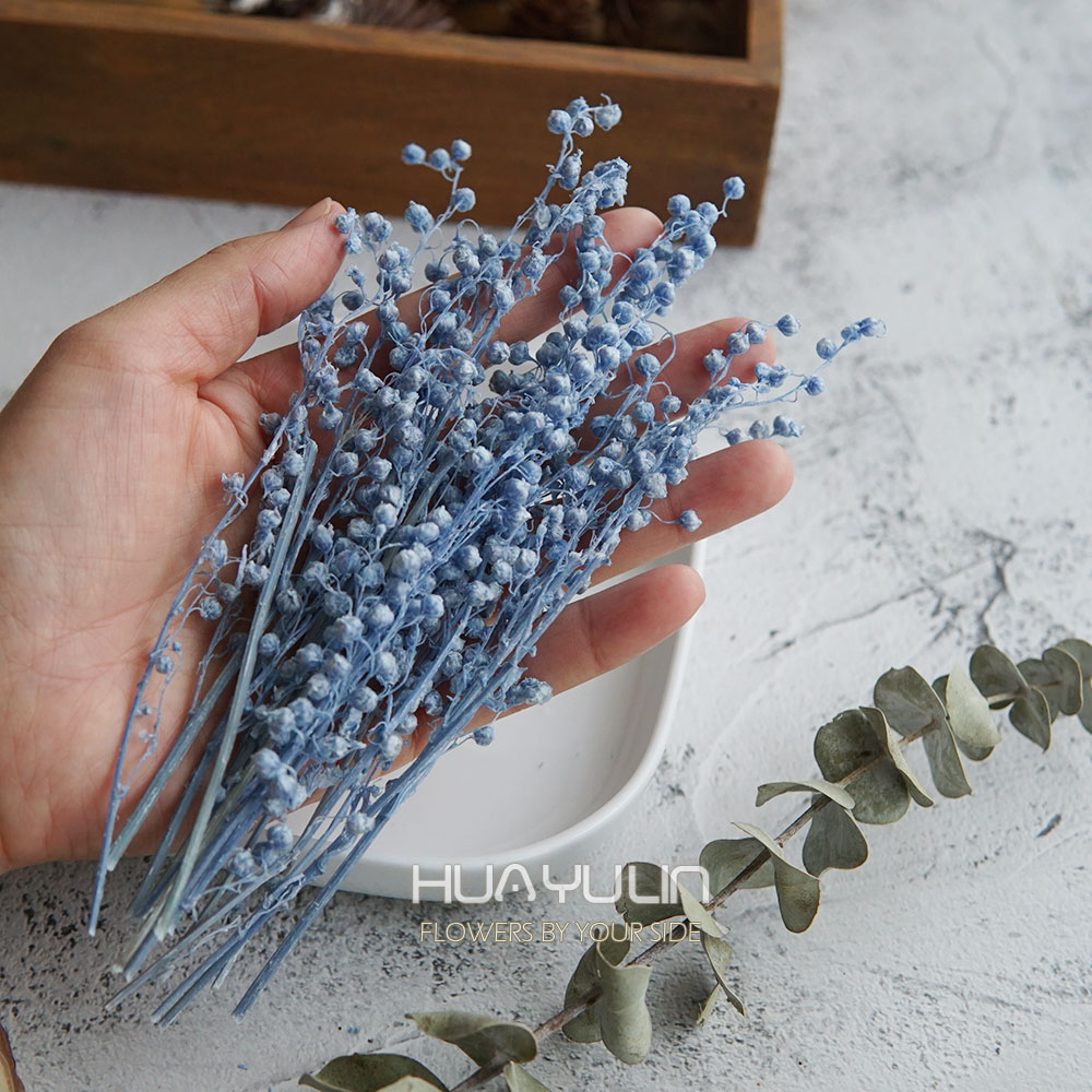 Real Flowers MiNi Bean Preserv – Flower Preservation Resin recenzja i cena