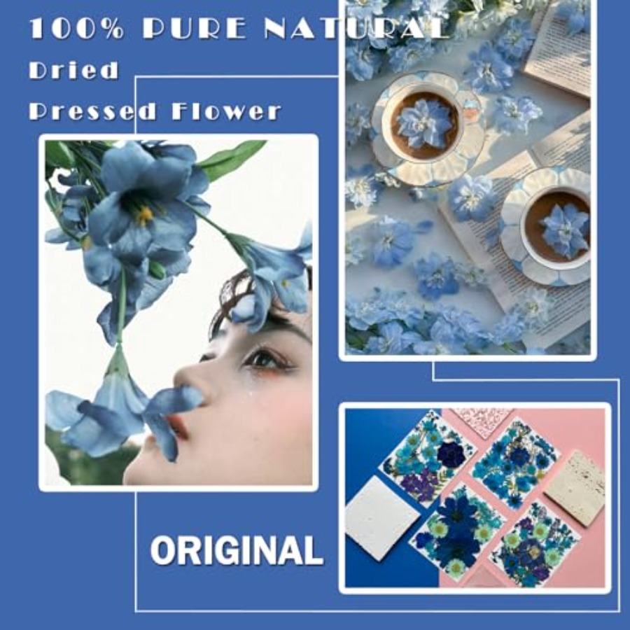 94Pcs Dried Pressed Flowers fo – Dried Flower Bulk recenzja i cena
