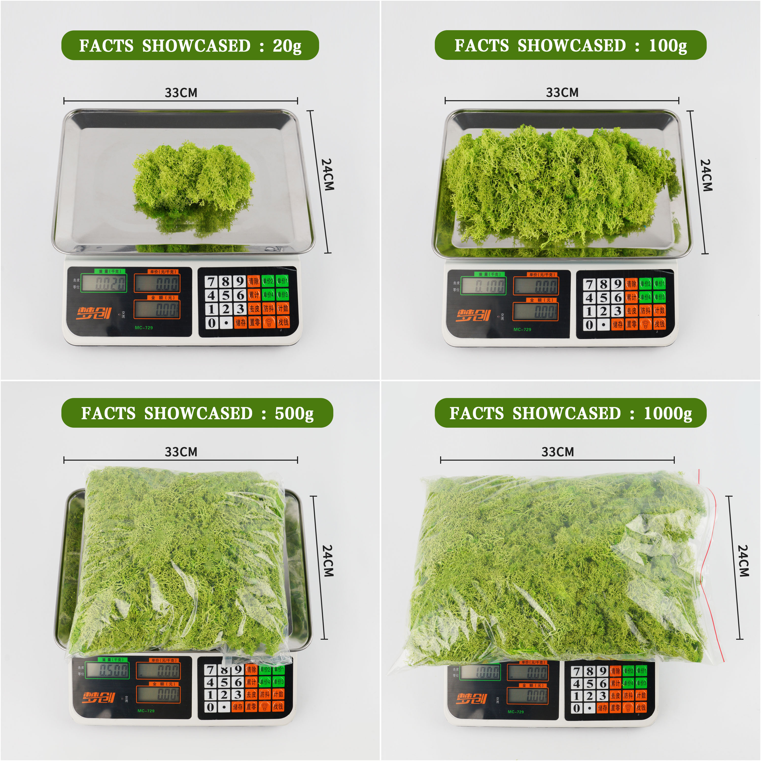 20/40/100g Eternal Life Moss D – Terrarium Moss Art recenzja i cena