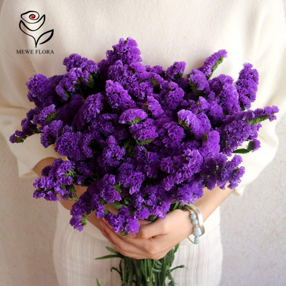 100g Dried Forget Me Not Flowe – Dried Flower Bulk recenzja i cena