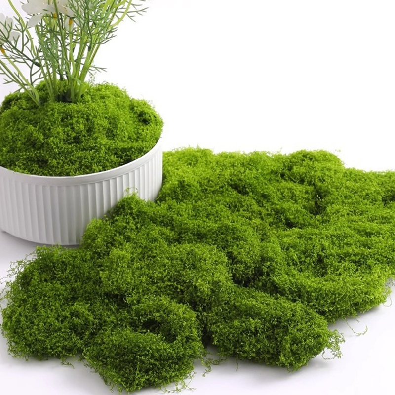 30/50/100g Fake Green Moss Art – Terrarium Moss Art recenzja i cena