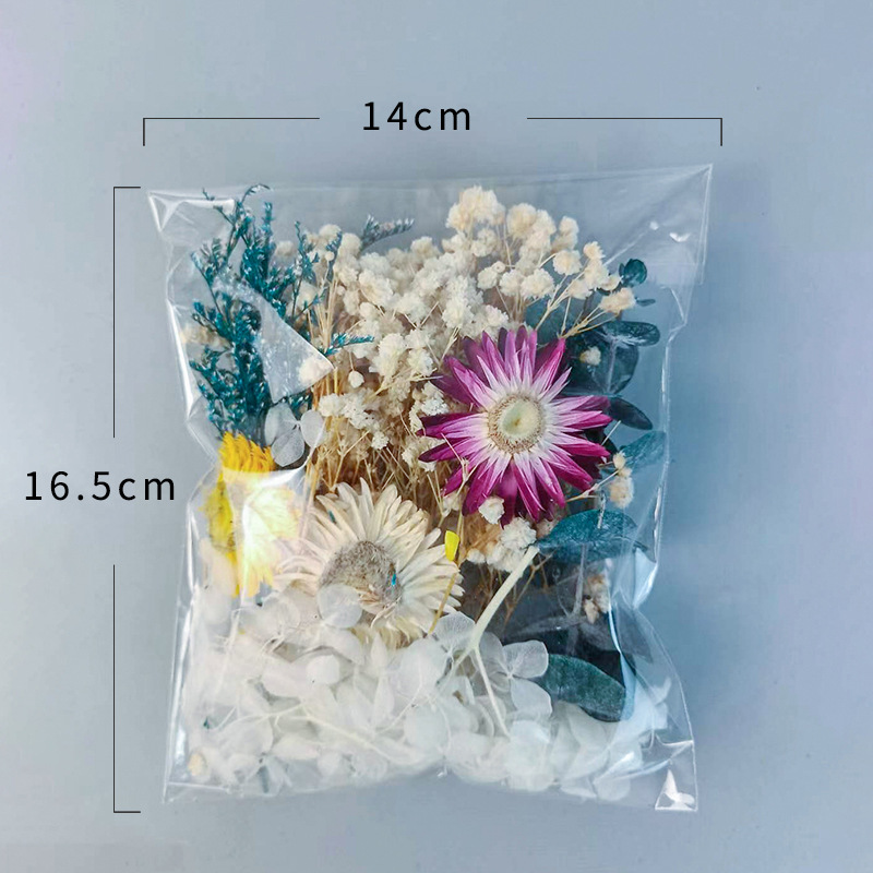 1pack Multifarious Dried Flowe – Dried Flower Bulk recenzja i cena