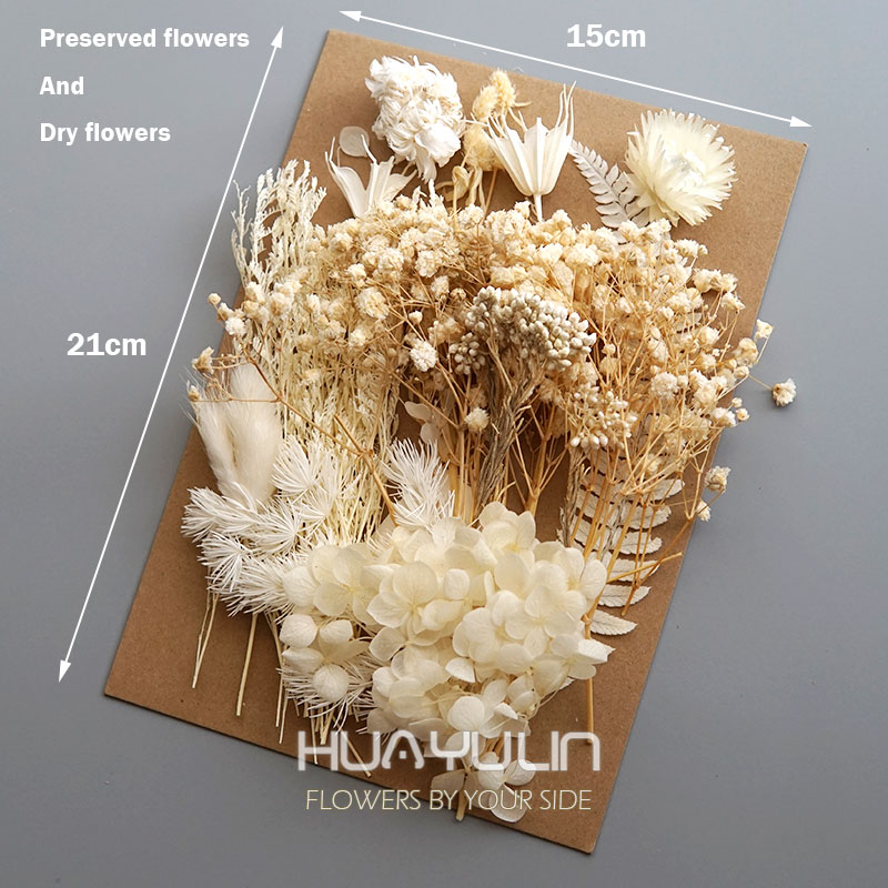 1 Pack Artificial Plants Dried – Dried Flower Bulk recenzja i cena