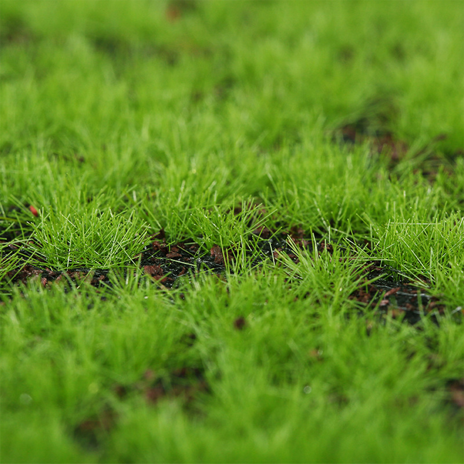 Artificial Moss Turf Simulatio – Terrarium Moss Art recenzja i cena